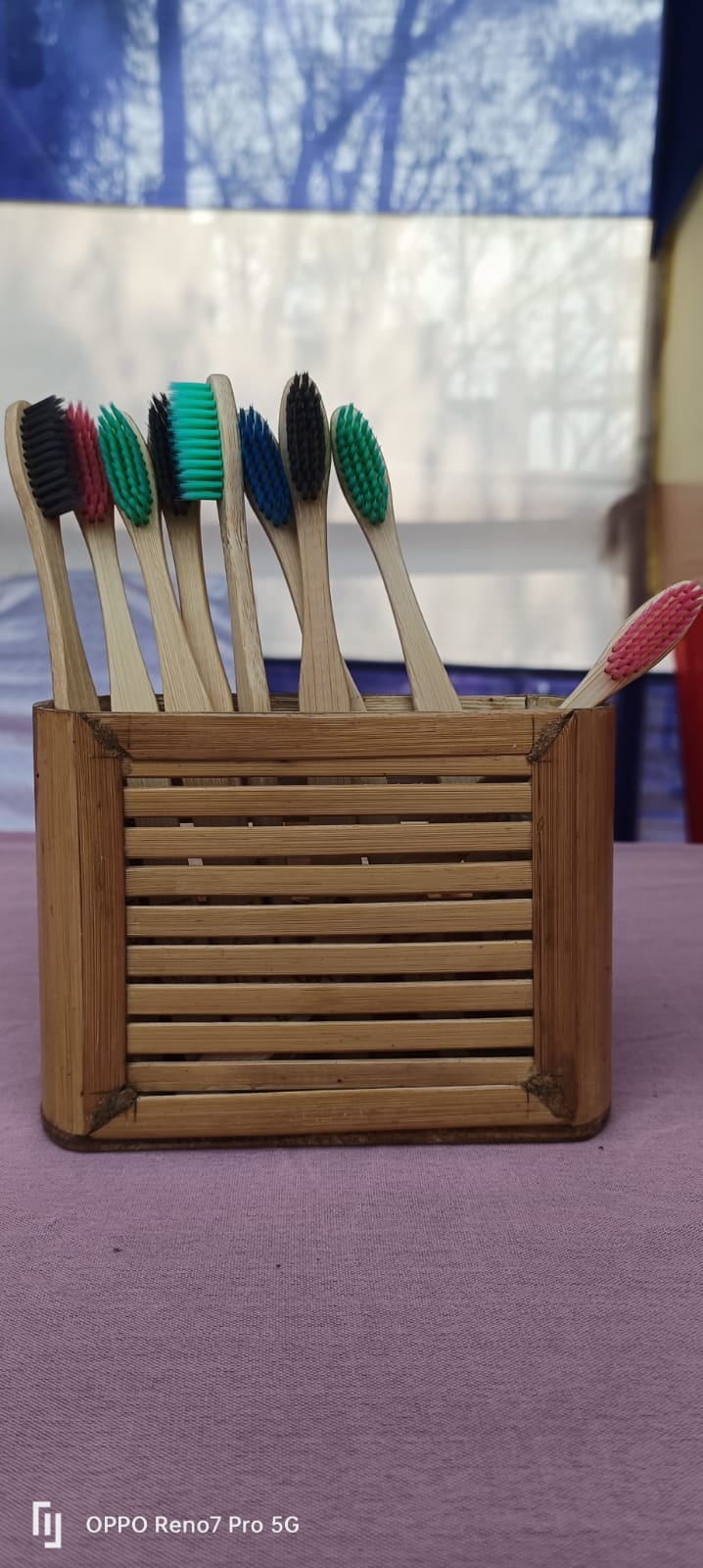 Bamboo Toothbrush Set(2 pc)